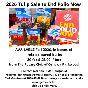 2026 Tulip Sale to End Polio Now
